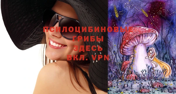 каннабис Аркадак