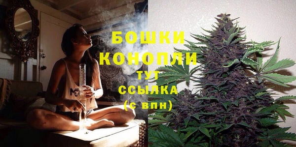 каннабис Аркадак