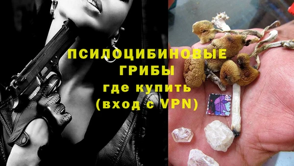 стафф Армянск