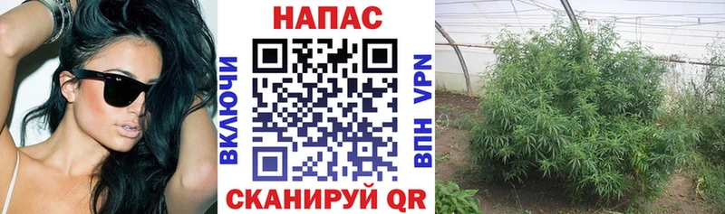hydra   купить  сайты  Заозёрск  Шишки марихуана конопля 